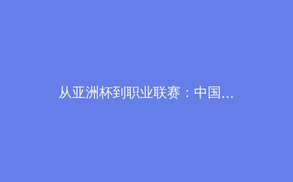 从亚洲杯到职业联赛：中国体育产业转型期的机遇与挑战 - 2